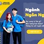 Ngôn Ngữ Anh Chất Lượng Cao Là Gì